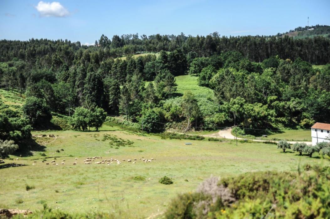Vumba Agroturismo Arganil Bagian luar foto