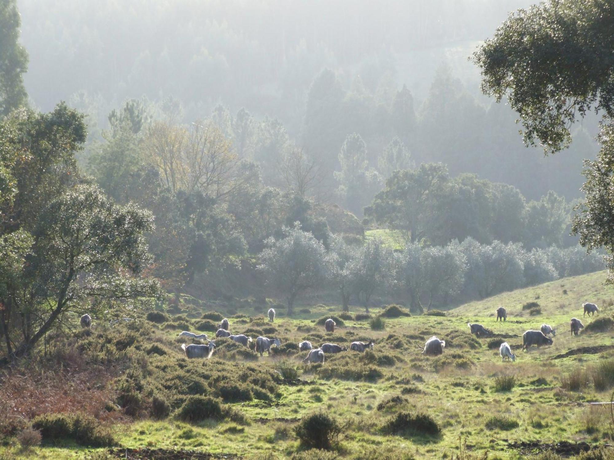 Vumba Agroturismo Arganil Bagian luar foto