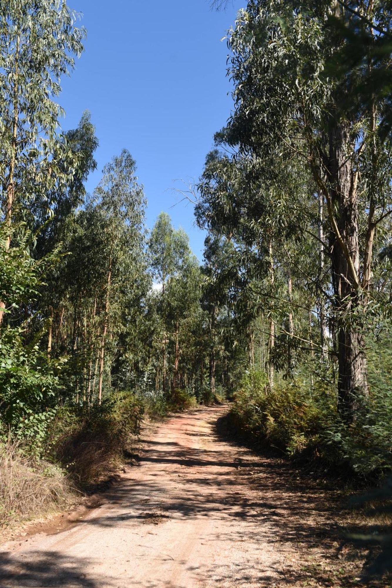 Vumba Agroturismo Arganil Bagian luar foto