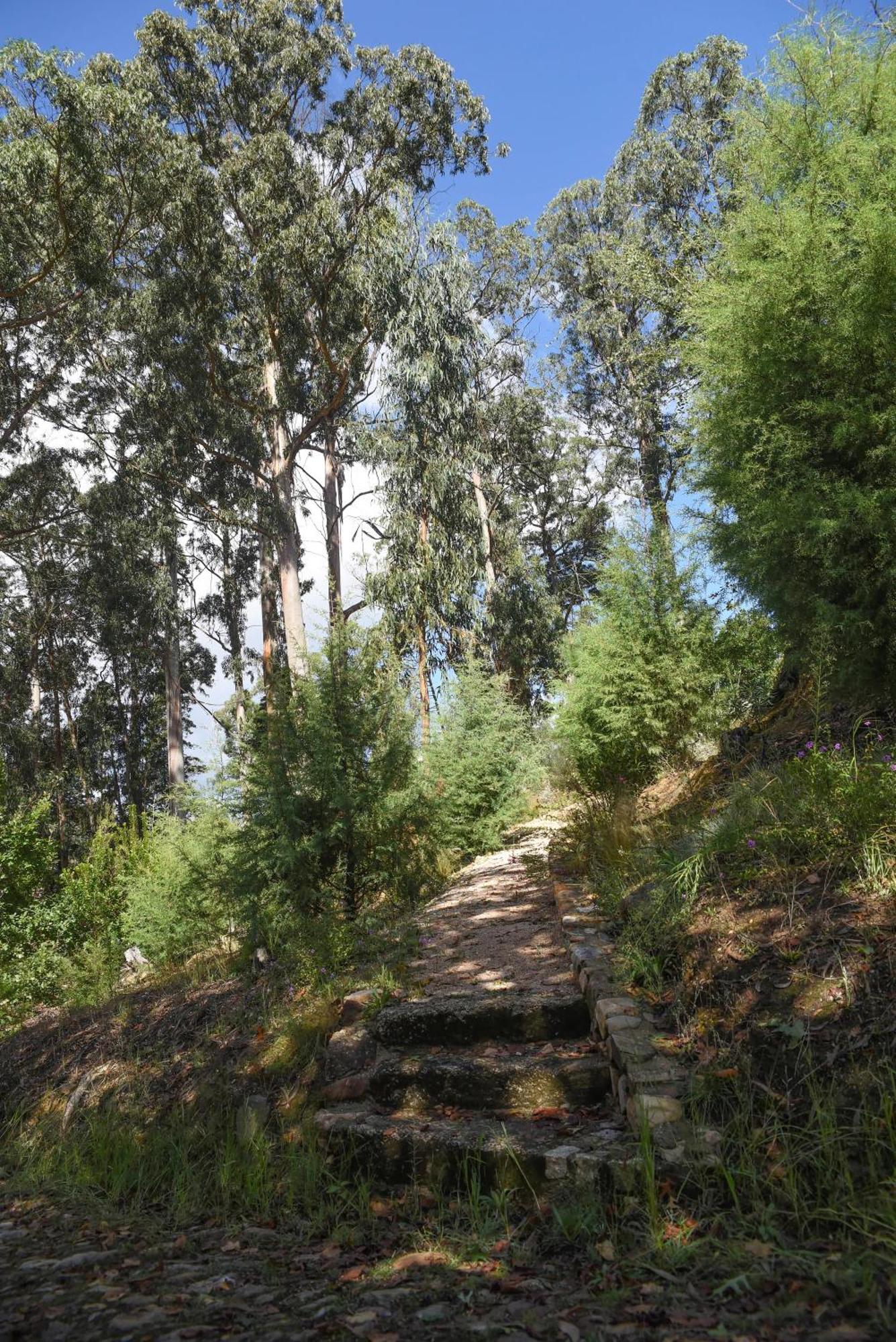 Vumba Agroturismo Arganil Bagian luar foto